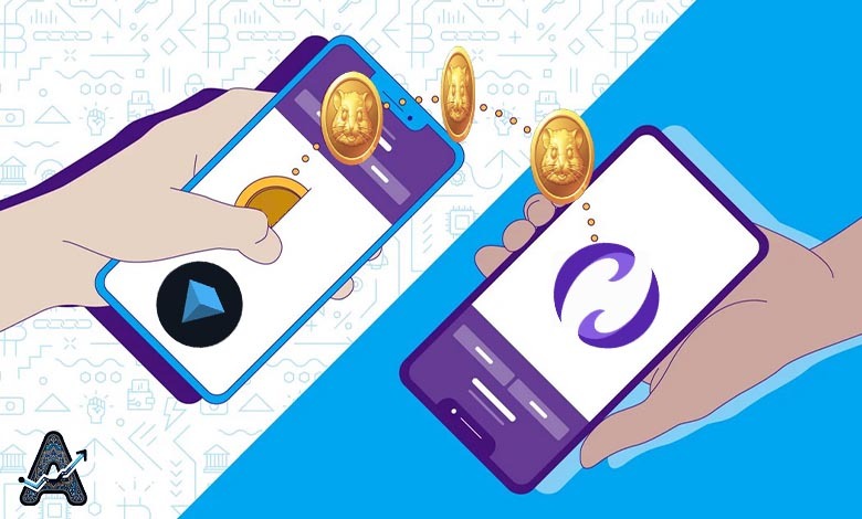 نحوه انتقال همستر از تون کیپر به نوبیتکس نحوه انتقال همستر از تون کیپر به نوبیتکس