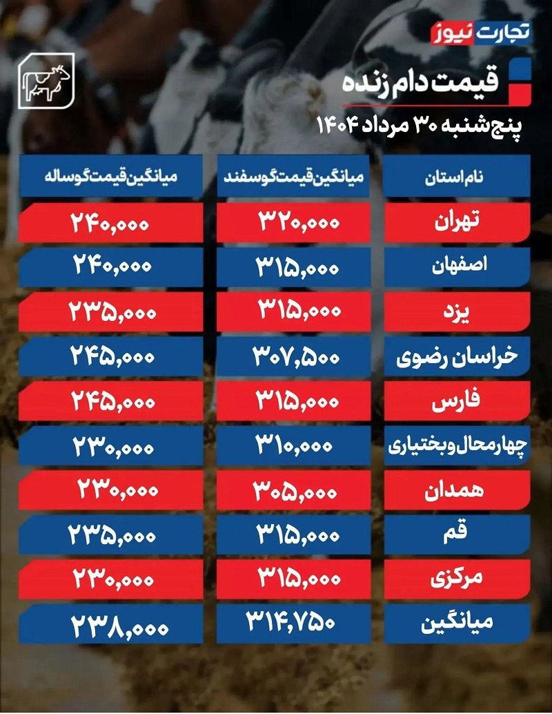 قیمت دام زنده امروز ۳۰ مرداد ۱۴۰۴ + جدول