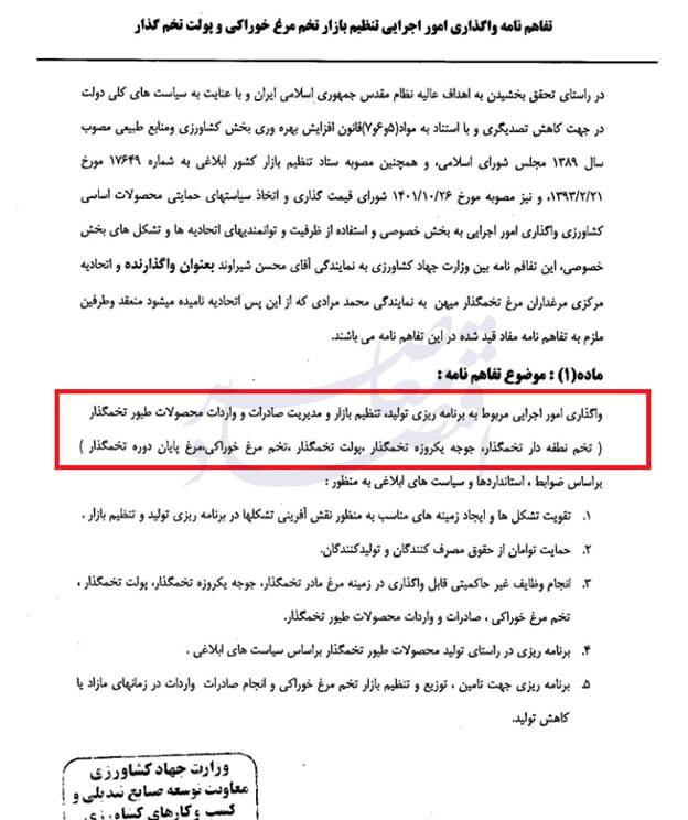 ابهام در صادرات مرغ و تخممرغ ابهام در صادرات مرغ و تخممرغ