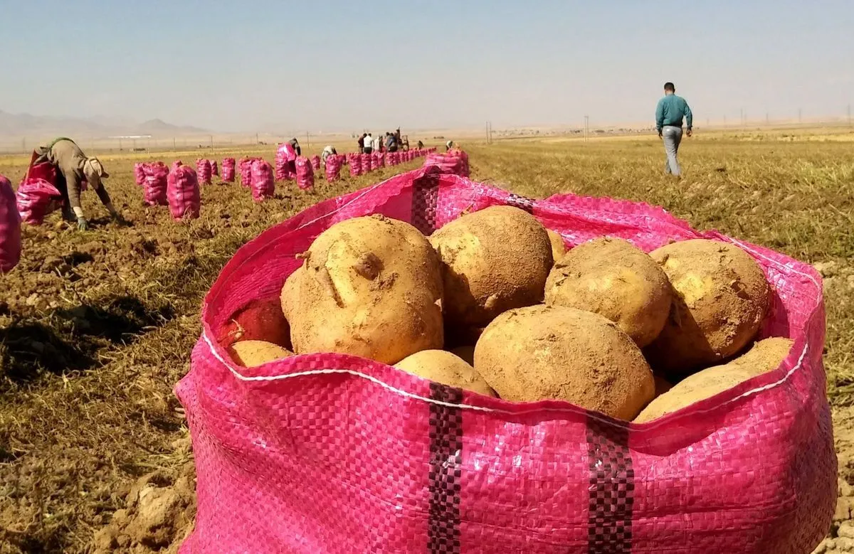 مسیر توانمندسازی کشاورزی ایران با فناوری هسته‌ای