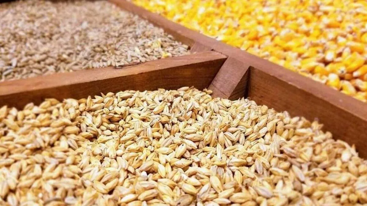 پشت‌پرده کمبود و گرانی نهاده‌های دامی در بازار
