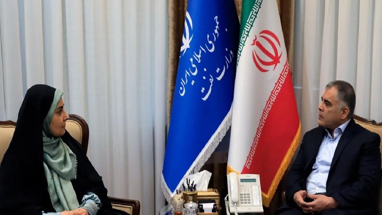 وزیران نفت و راه و شهرسازی دیدار کردند
