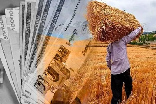 دولت ۱۲۰ هزار میلیارد تومان به گندم&zwnj;کاران بدهکار است