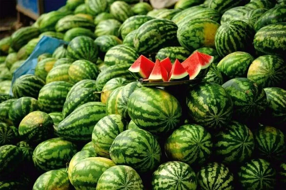 روش تشخیص هندوانه شیرین و رسیده