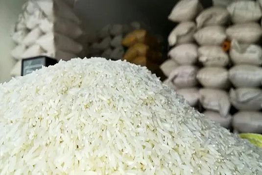 ابلاغ مجدد لغو ممنوعیت ترخیص برنج در فصل برداشت