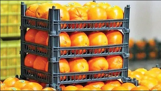 نظارت بر روند توزیع میوه نوروزی در استان&zwnj;ها