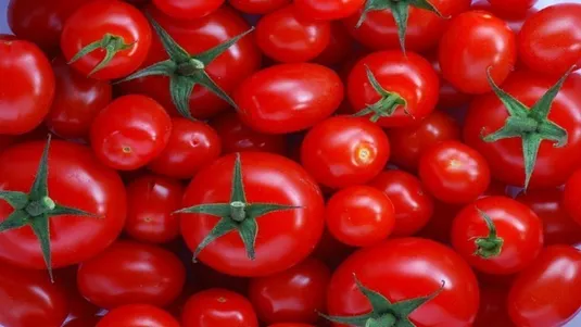 بازار گوجه فرنگی تعدیل شد/صادرات سیب زمینی آسیبی به بازار داخل نمی زند
