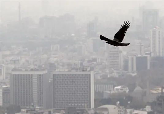 درخواست افزایش نرخ کمیسیون مشاوران املاک در اوج رکود بازار مسکن
