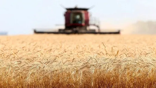 مرجع رسمی حساب&zwnj;های ملی و رشد اقتصادی فقط مرکز آمار ایران است