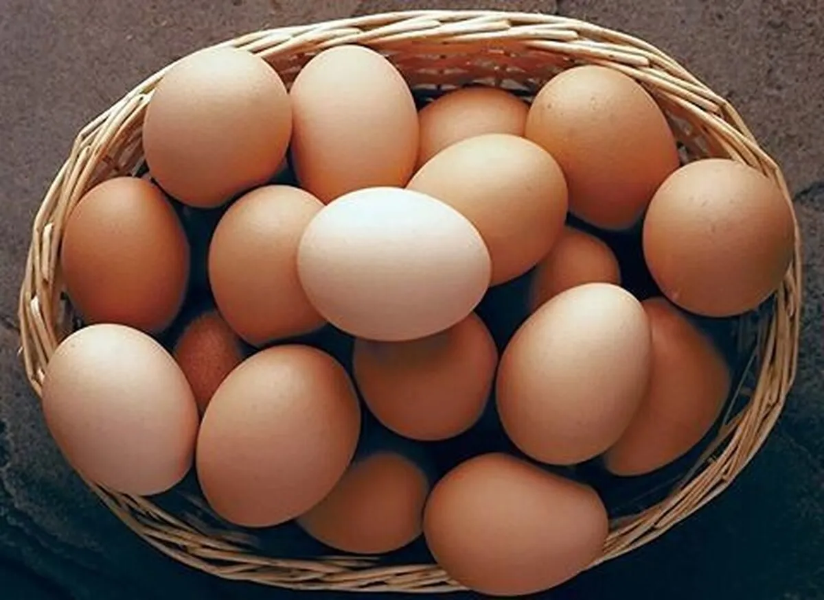 هر شانه تخم‌مرغ چند؟