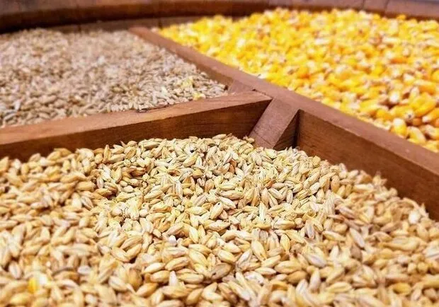  نهاده‌های دامی 