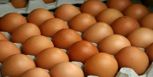 قیمت هرکیلو تخم مرغ درب مرغداری ۵۰ هزارتومان