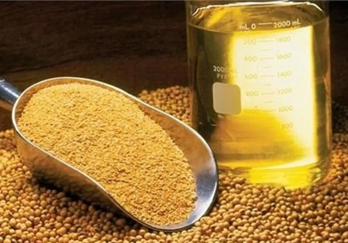 سقف ارزی قیمت انواع غلات، روغن خام و دانه‌های روغنی تعیین شد