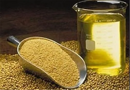 ثبت سفارش جدید دانه&zwnj;های روغنی و کنجاله از ۱۲ آبان آغاز می&zwnj;شود
