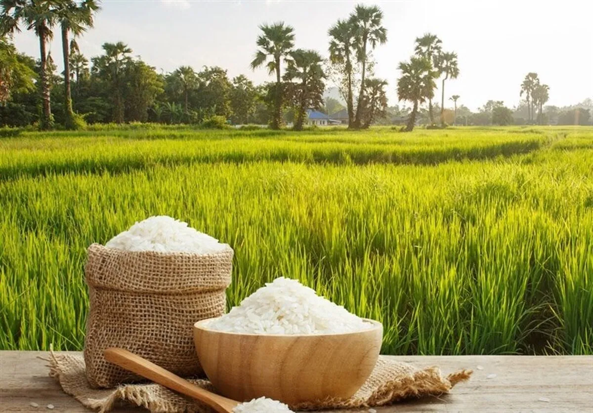 پیش‌شرط‌ خودکفایی در تولیدات کشاورزی؛ ملاحظات زیست‌محیطی مغفول نماند