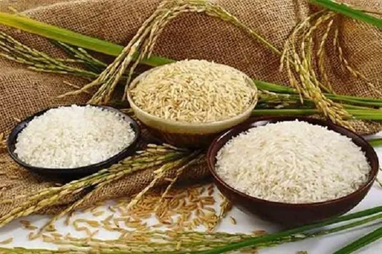 حذف واردات برنج&zwnj;های با کیفیت برای صرفه&zwnj;جویی ارزی