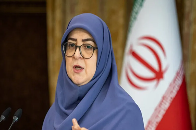 سخنگوی دولت