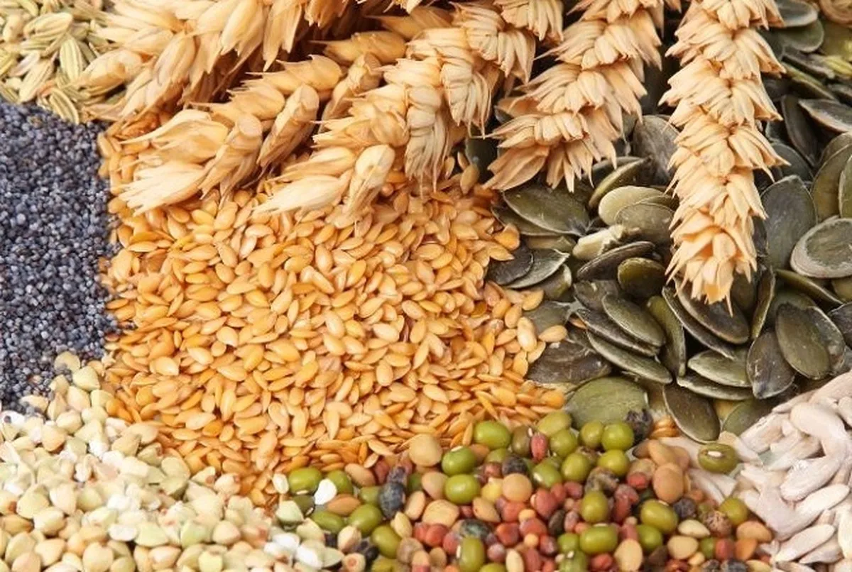 غلات