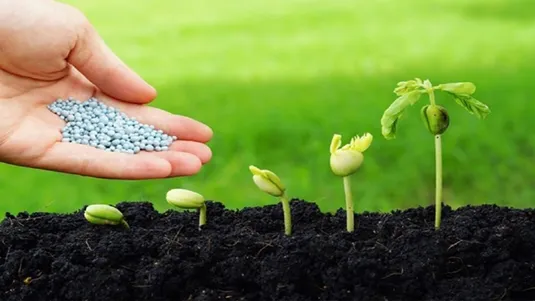 توزیع ۵۰۰ هزارتن بذر در استان&zwnj;های کشور
