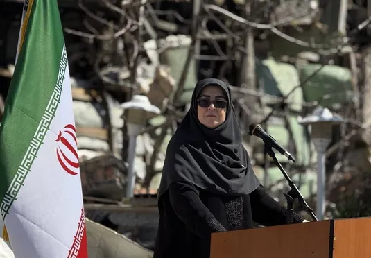 مهاجرانی: دولت از کسب&zwnj;و&zwnj;کارهای اینترنتی حمایت می&zwnj;کند