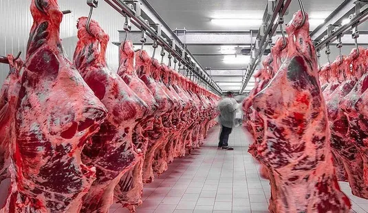 فقر پروتئینی در راه است؟/ حذف ارز ترجیحی گوشت زنگ خطر را به صدا درآورد