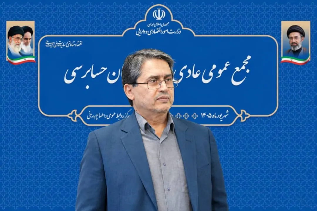 سازمان حسابرسی