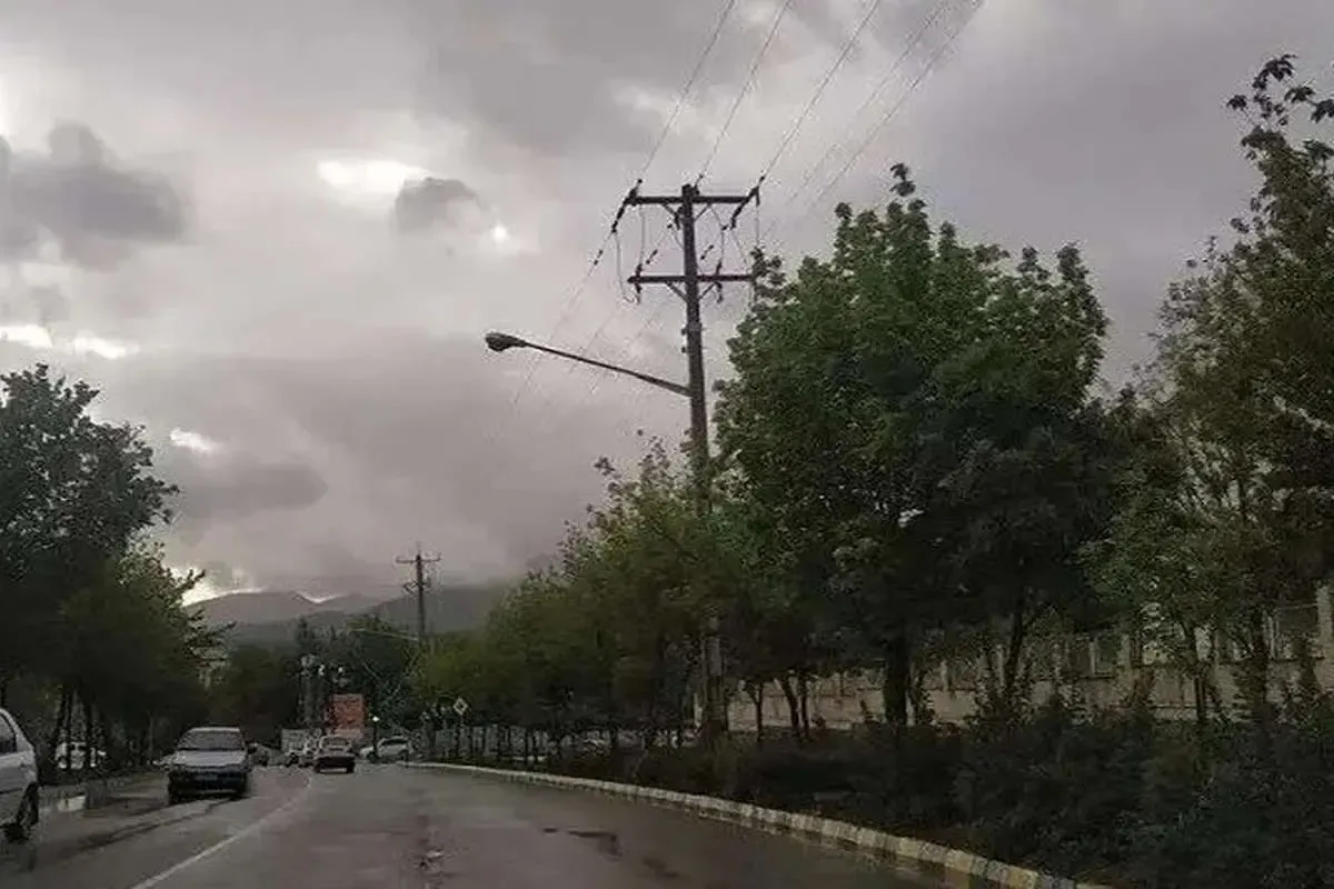 تند باد