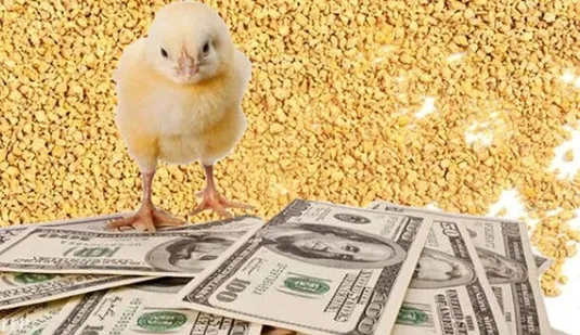 جزئیات طرح جدید تامین نهاده و حمایت از واحدهای تولیدی
