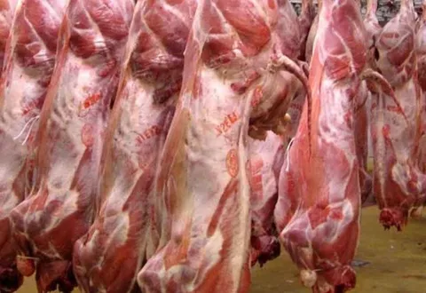 واردات گوشت قرمز با وجود محاصره تنگه هرمز ادامه دارد