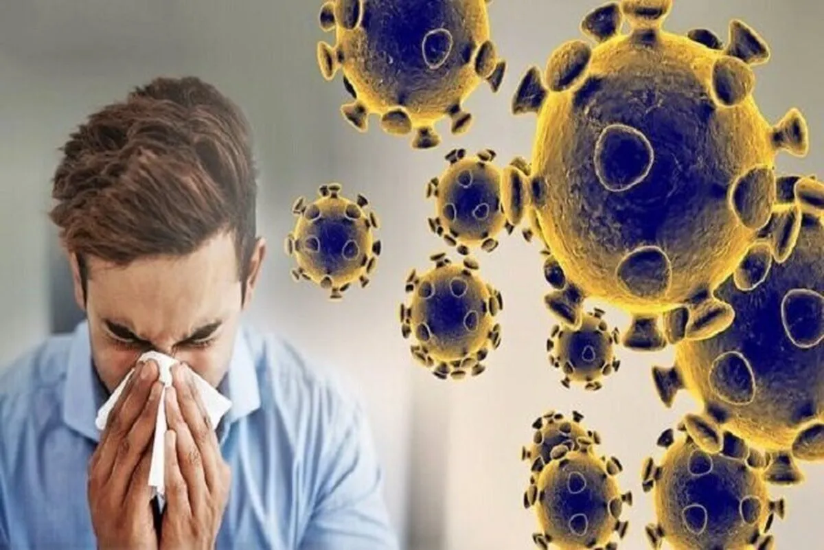 کرونای تیغی چقدر خطرناک است؟+ علائم این بیماری