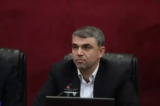 محمد برزگری، معاون تحول هوشمند سازمان امور مالیاتی کشور
