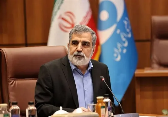 کمالوندی: صنعت هسته&zwnj;ای در کشور ما ریشه دارد