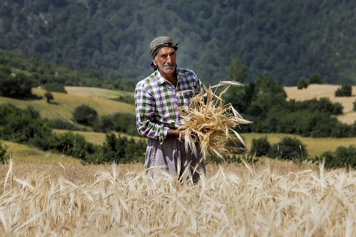 کشاورز