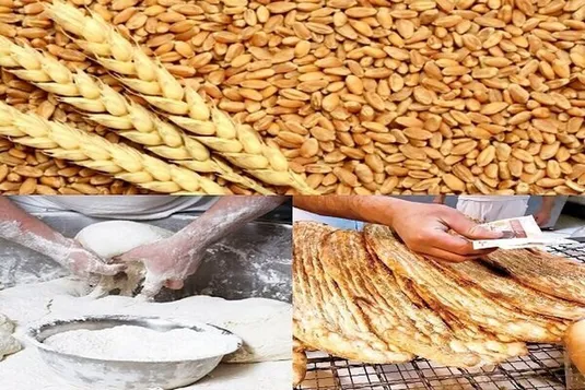 باید نان را برای دهک&zwnj;های پایین جامعه رایگان کنیم