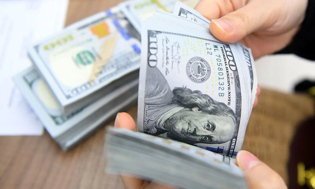 دلایل جهش ۶۲ درصدی نرخ ارز در سال گذشته