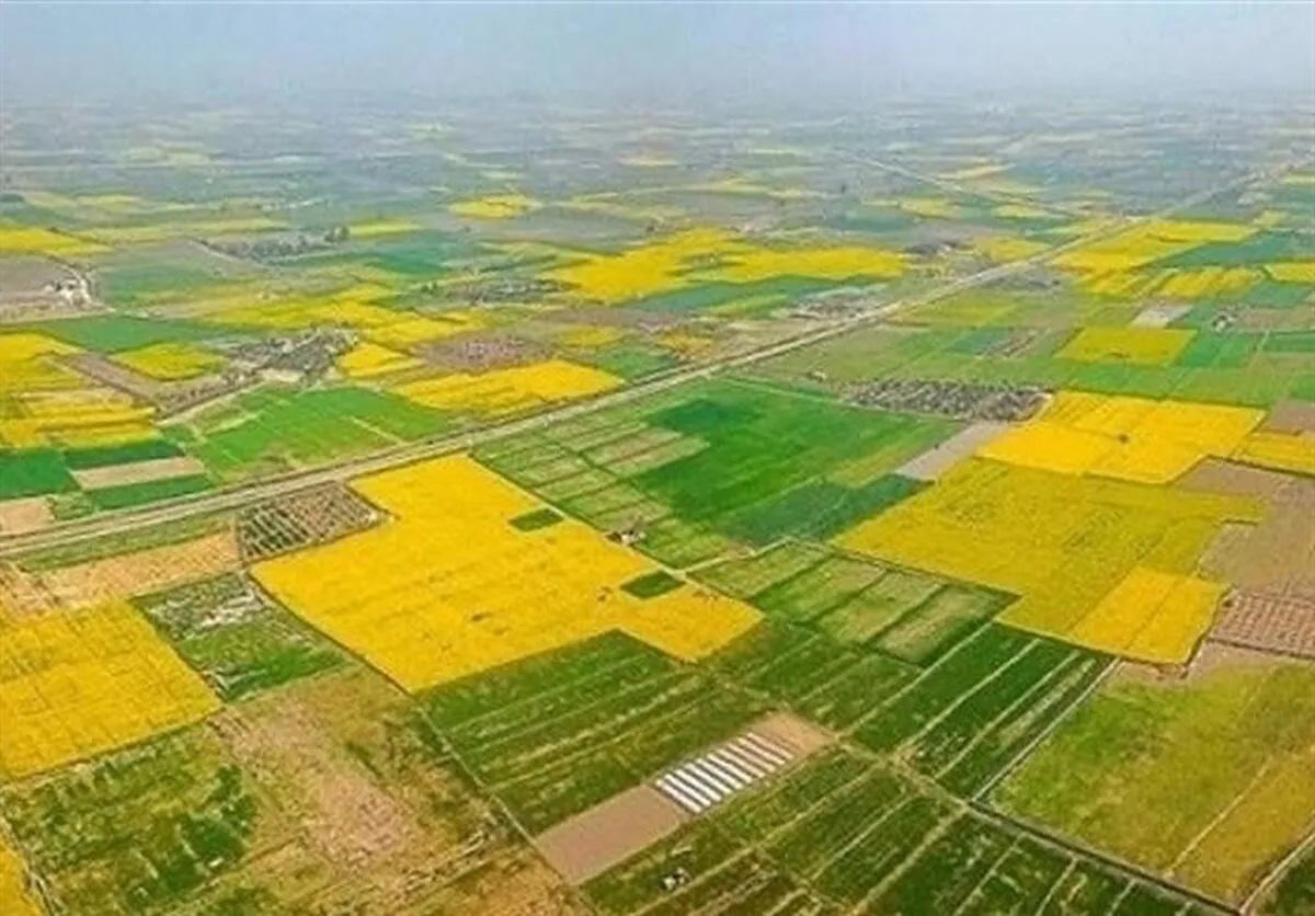 ۱۵.۷ هزار هکتار از اراضی کشاورزی کشور تجمیع شد