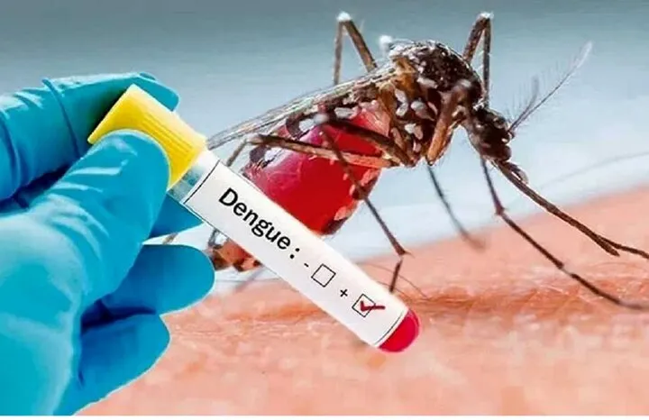 پسه آئدس