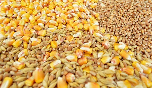 امنیت غذایی ایران در گروگان سبد محدود نهاده&zwnj;های دامی