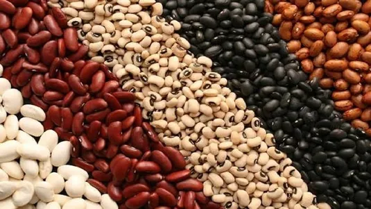 آغاز ثبت سفارش حبوبات سهمیه فصل پاییز از ۲۹ شهریور