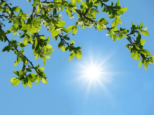 گزارش هواشناسی امروز ۱۷ مرداد ۱۴۰۵