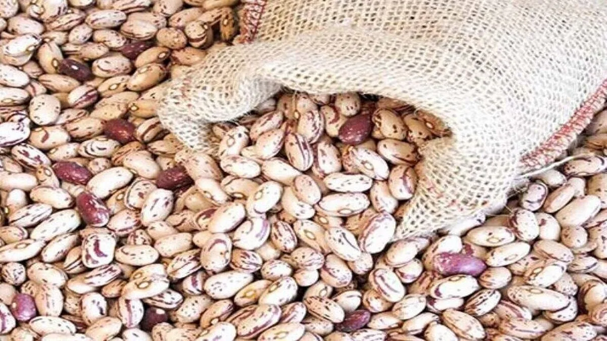اختلاف قیمت ۲۰۰ هزار تومانی لوبیا چیتی در بازار و فروشگاه‌