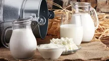 قیمت هر کیلوگرم شیر خام درب دامداری ۶۰ هزار و ۵۰۰ تومان است