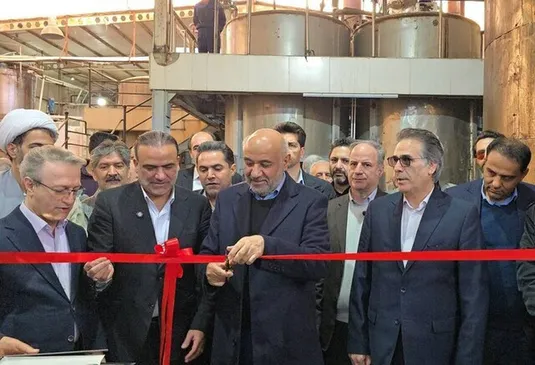 وزیر کار: تزریق تسهیلات بانکی فراتر از نیاز واحدهای تولیدی می&zwnj;تواند مشکلاتی ایجاد کند