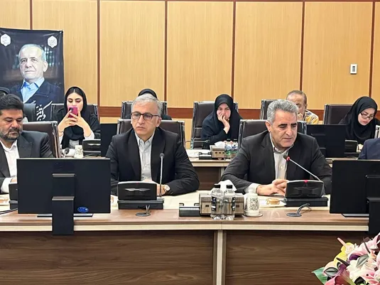 سرمایه&zwnj;گذاری ۳.۵ میلیارد دلاری برای توسعه ناوگان مسافری ریلی