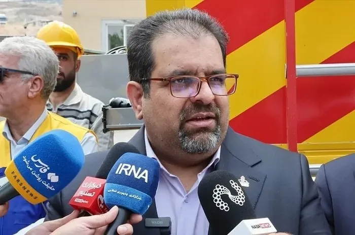مدیرعامل شرکت ملی گاز ایران