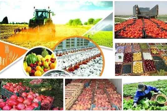 شناسنامه&zwnj;دار شدن ۲۰۱ هزار واحد بهره&zwnj;برداری با اجرای نظام جامع رهگیری