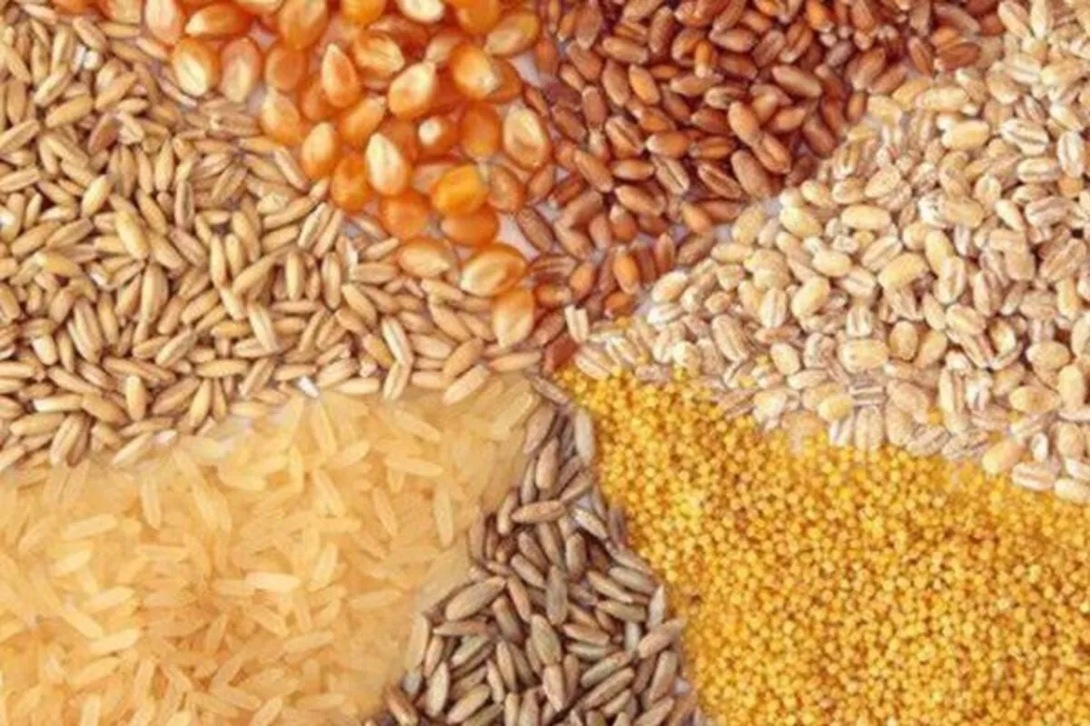 کاهش ارز نفتی و انحصار بازار، تامین نهاده‌ها را مشکل کرده است