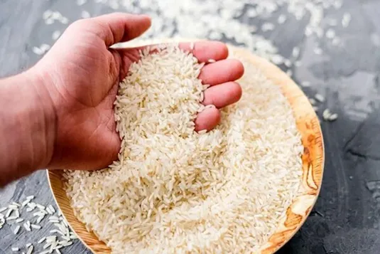 عرضه برنج ایرانی به قیمت ۲۷۰ هزار تومان/ تخلف سه شرکت بزرگ در برنج محرز شد