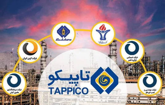سه سناریو برای کاهش تصدی گری در تاپیکو/ عدم النفع پتروشیمی ها از ناترازی گاز