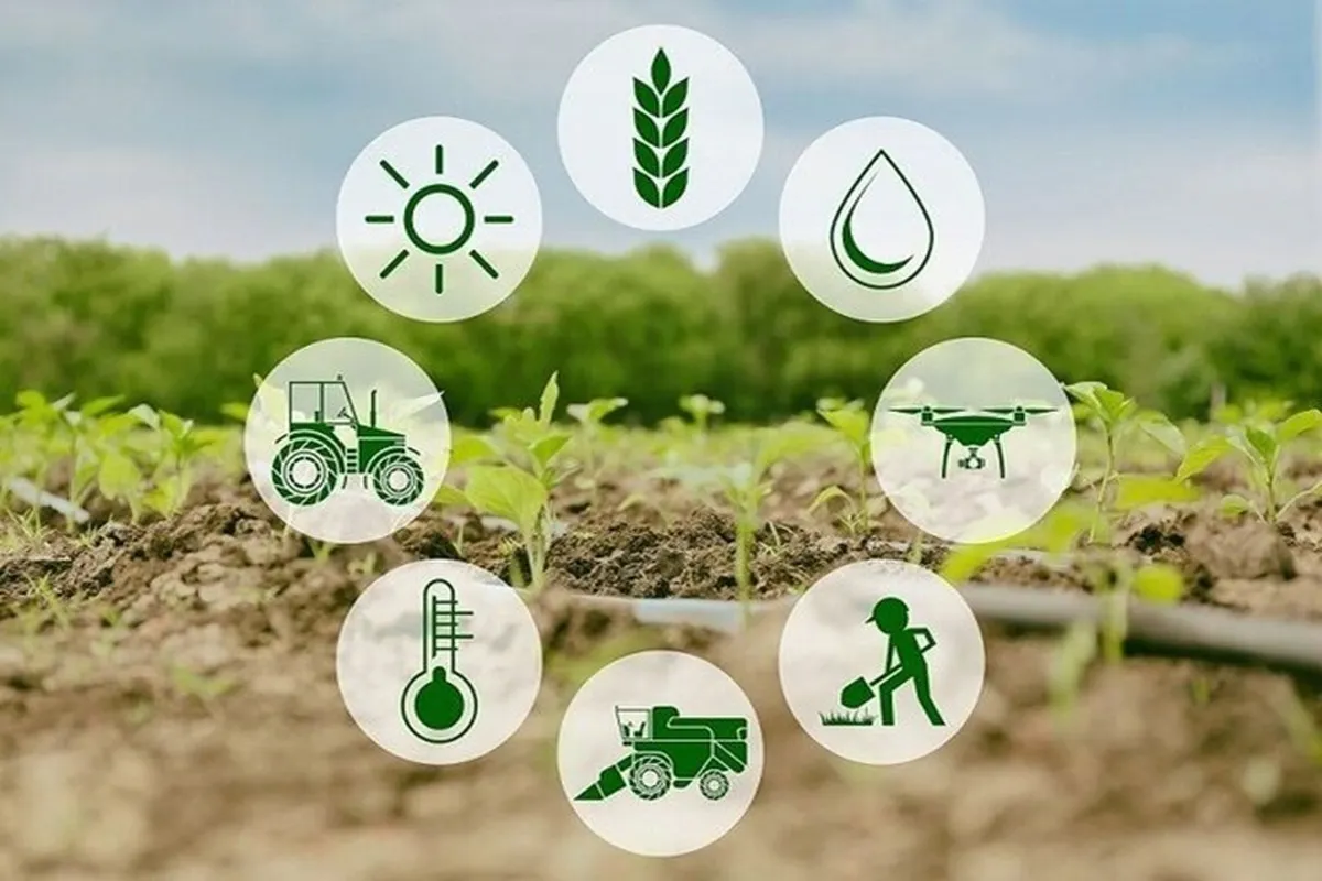 پیشنهادی برای مدیریت بحران آب / عوامل اصلی تهدید امنیت غذایی چیست؟